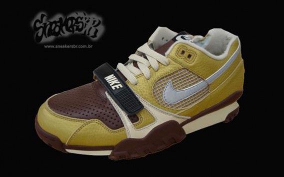 Nike SB Air Trainer TW II for 2008