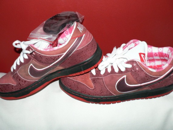 Nike Dunk Low SB – “Pinky” – “Picnic Table” Sample