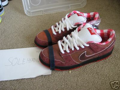 Nike Sb Dunk Low Lobster 1