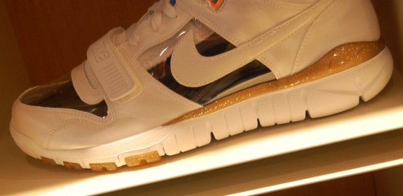 Nike x ESPO Air Trainer Dunk Free - Invisible Woman