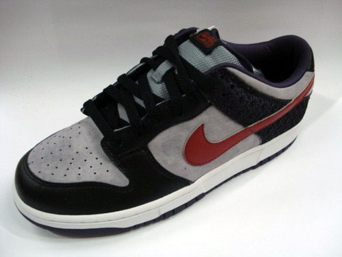 Nike Dunk 6.0 Fall 2008 Preview