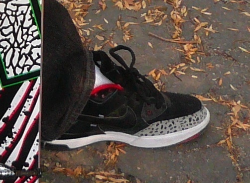 Nike SB Zoom P-Rod 3 Wear Test Samples