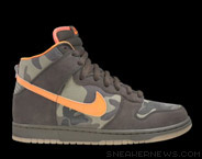 Dunk High Sb Brian Anderson