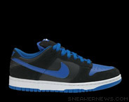 Dunk Low Sb Jordan