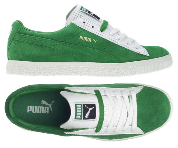 Pumabreakpoint2