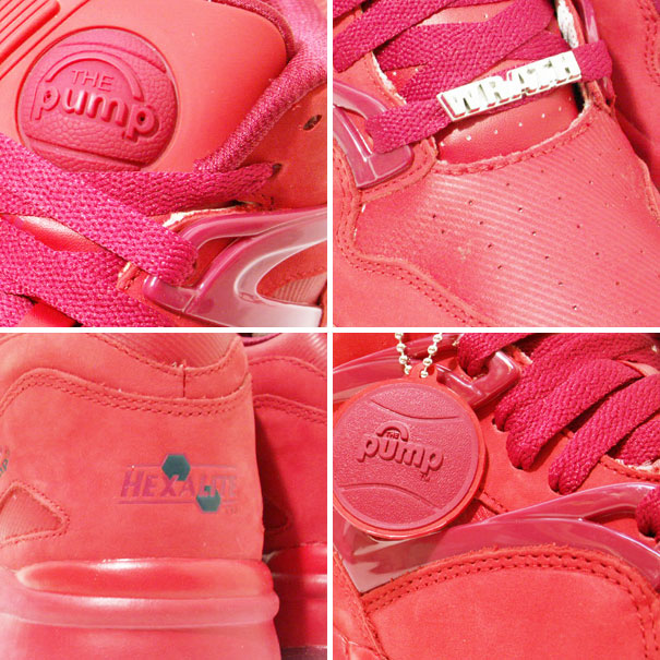 omni_j12476_d