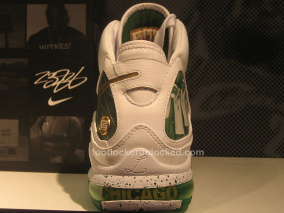 lebron-vii-chicago-family-3