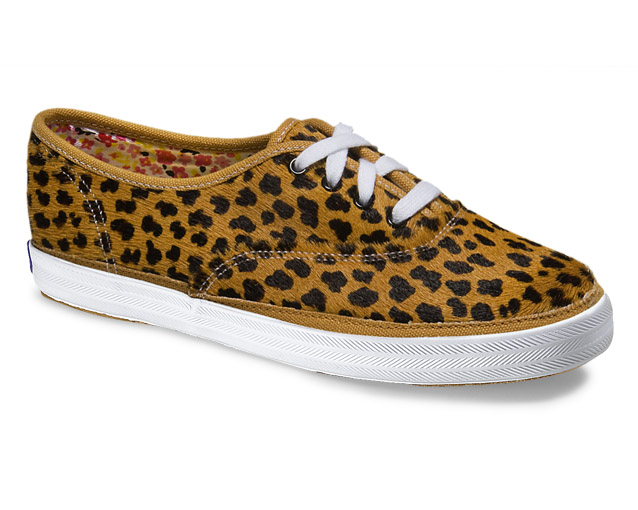 OC_Cheetah