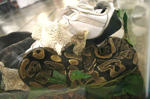 nc-sneaker-summit-24