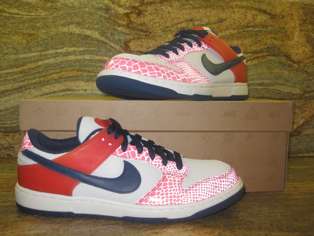 nike-dunkesto-unreleased-sample-02