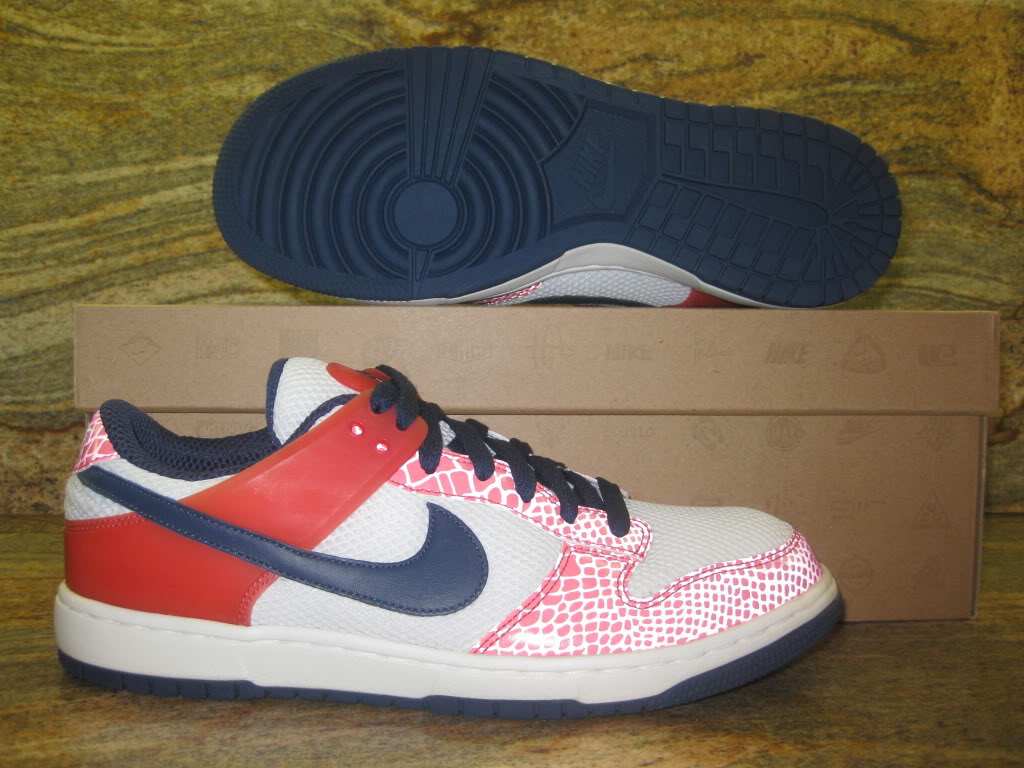 nike-dunkesto-unreleased-sample-03
