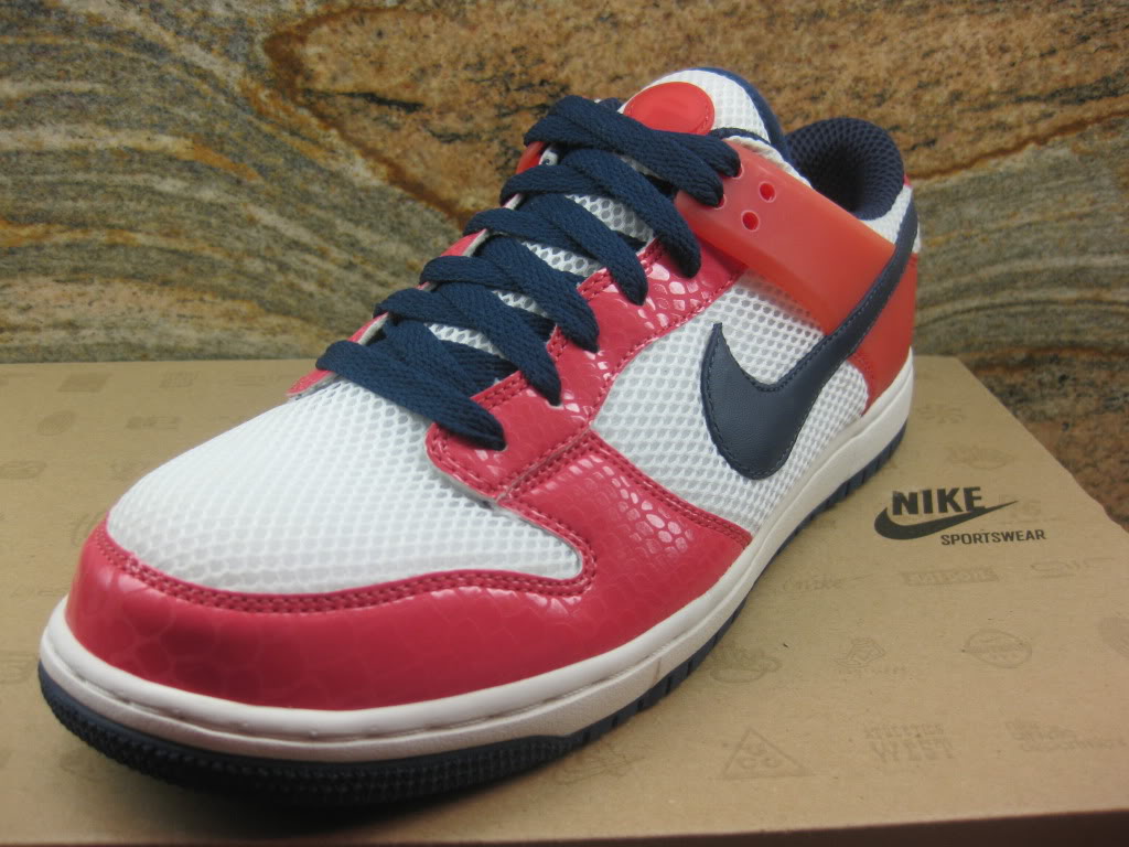 nike-dunkesto-unreleased-sample-04