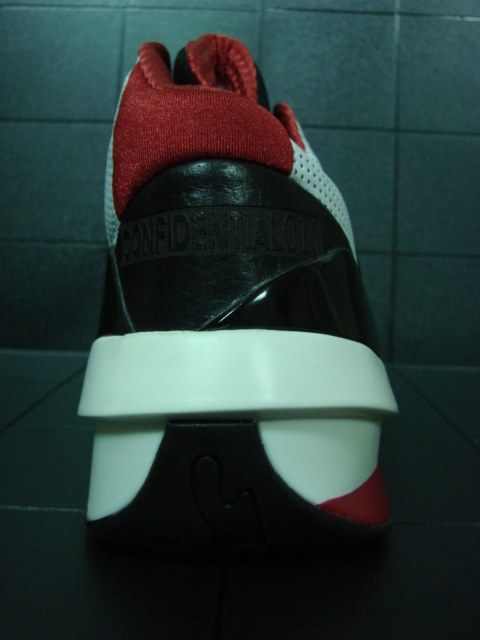 jordan2010sample3