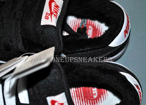 nike-sb-low-chirping-bird-4