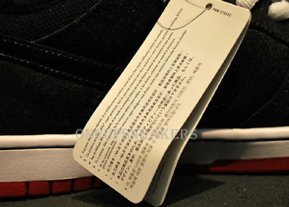 nike-sb-low-chirping-bird-5