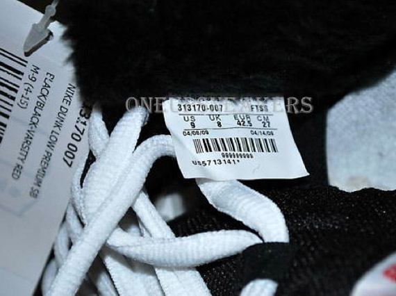nike-sb-low-chirping-bird-7