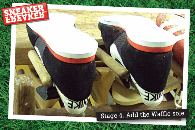 Stage4_waffle-1