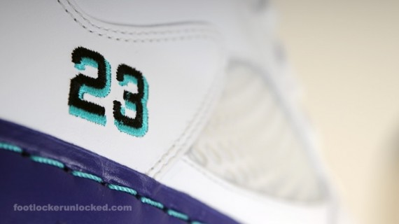 Air Jordan Force Fusion V (AJF 5) ‘Grape’ – July 2010