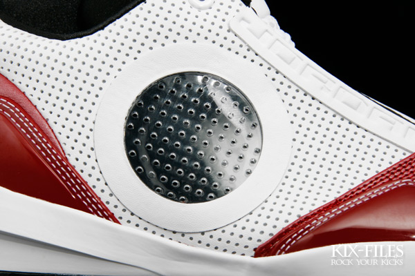 Nike Air Jordan 2010 Wade Welcome Home 3 1