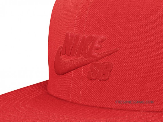 Nike Sb Fitted Cap 02 570x427