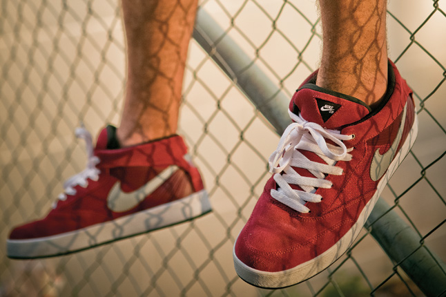 Omar Salazar Nike Sb5 1