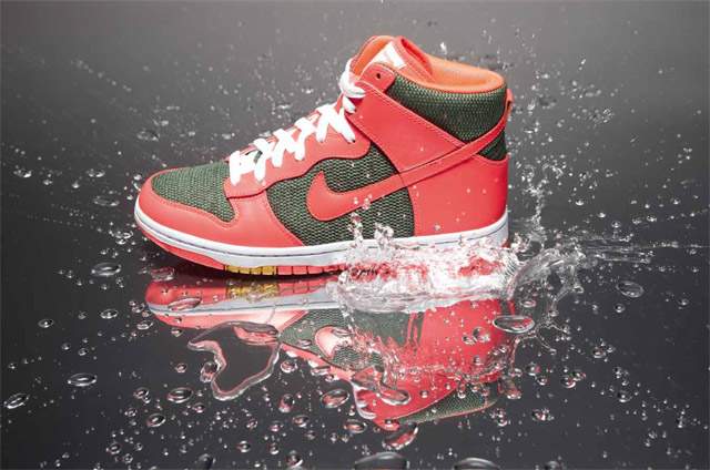 Nike Dunk Maharam Fa10 2