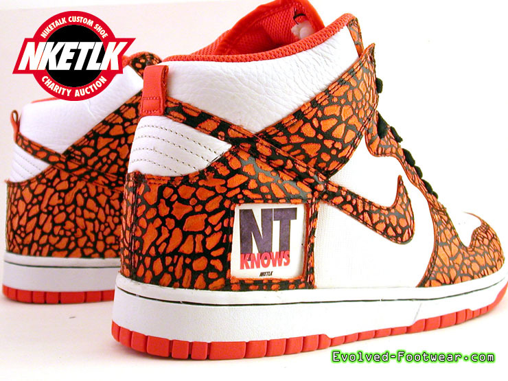 Niketalk Help Haiti Custom Sneaker Auctions Evolved 01