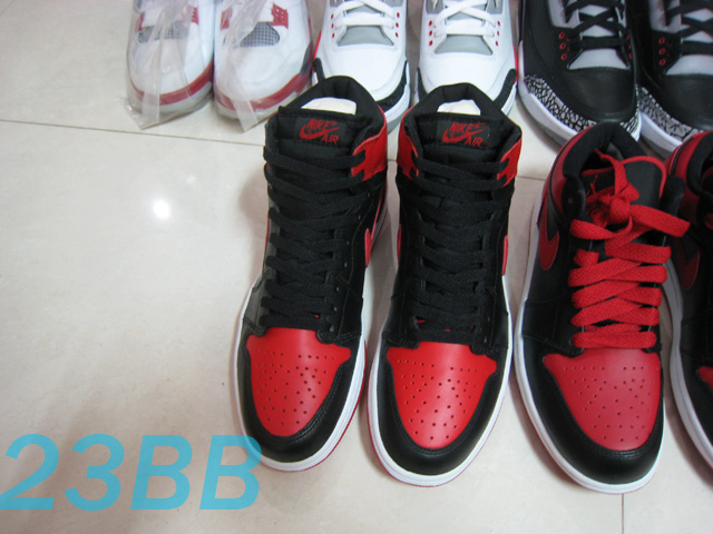 Aj2010 052