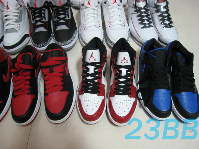 Aj2010 053