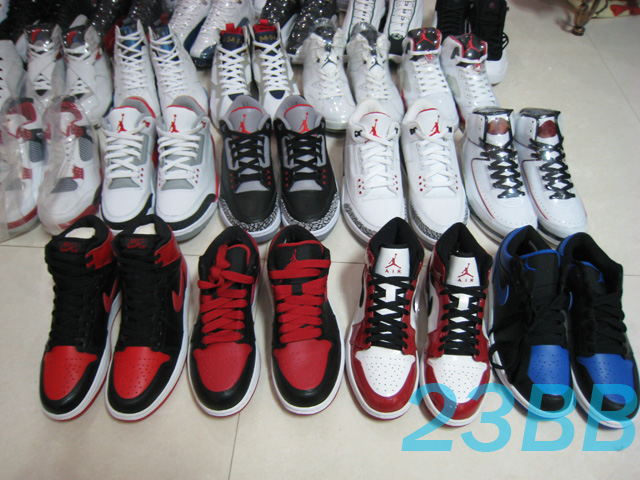 Aj2010 054