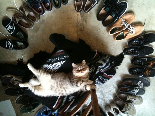 Stefan Janoski Personal Collection 01