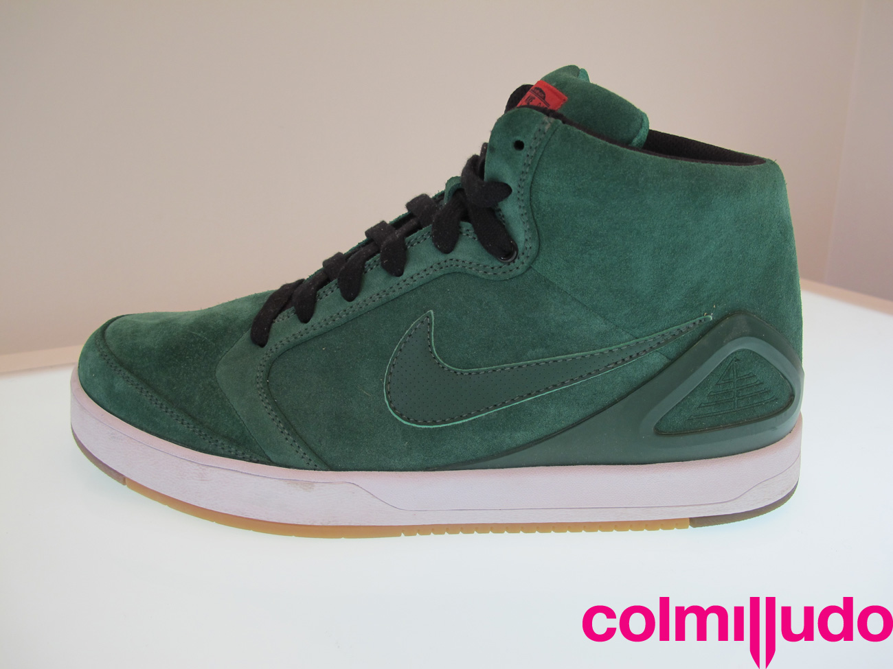 Colmilludo Img 2387