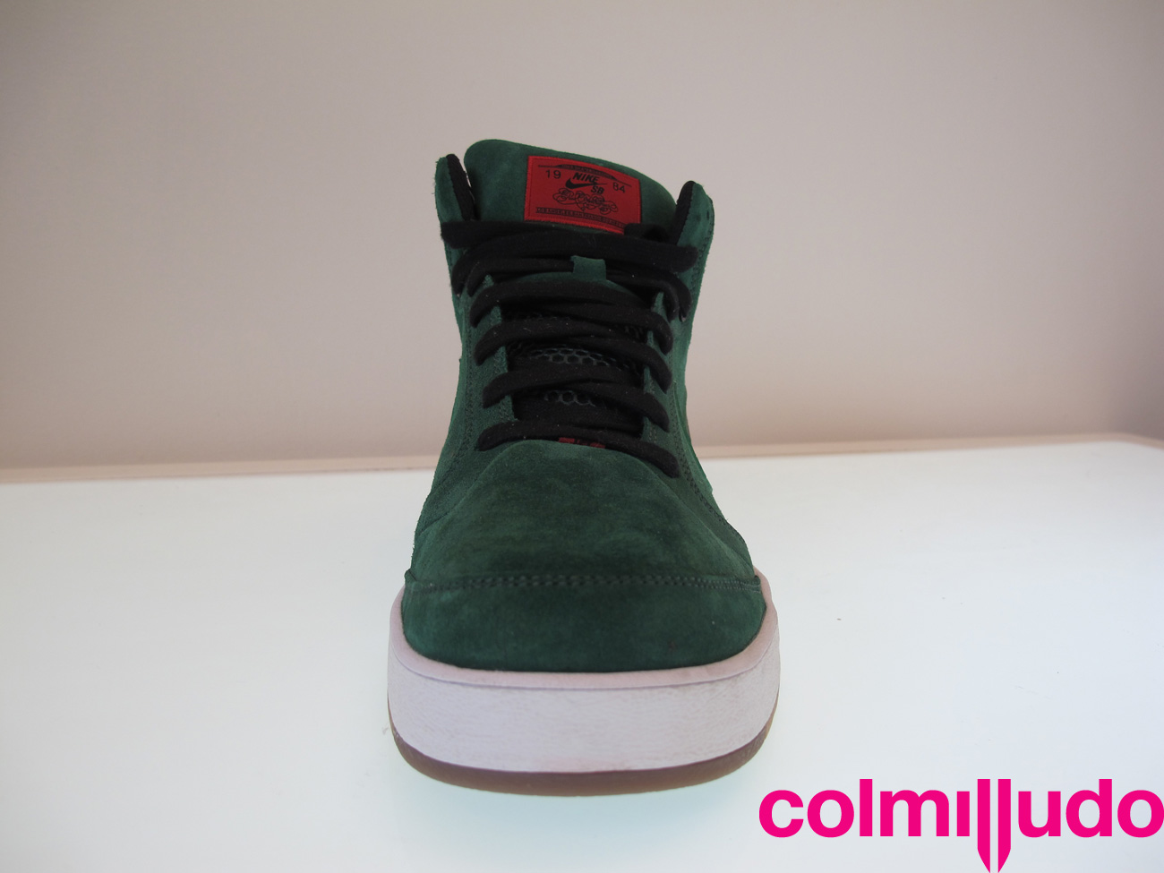 Colmilludo Img 2390