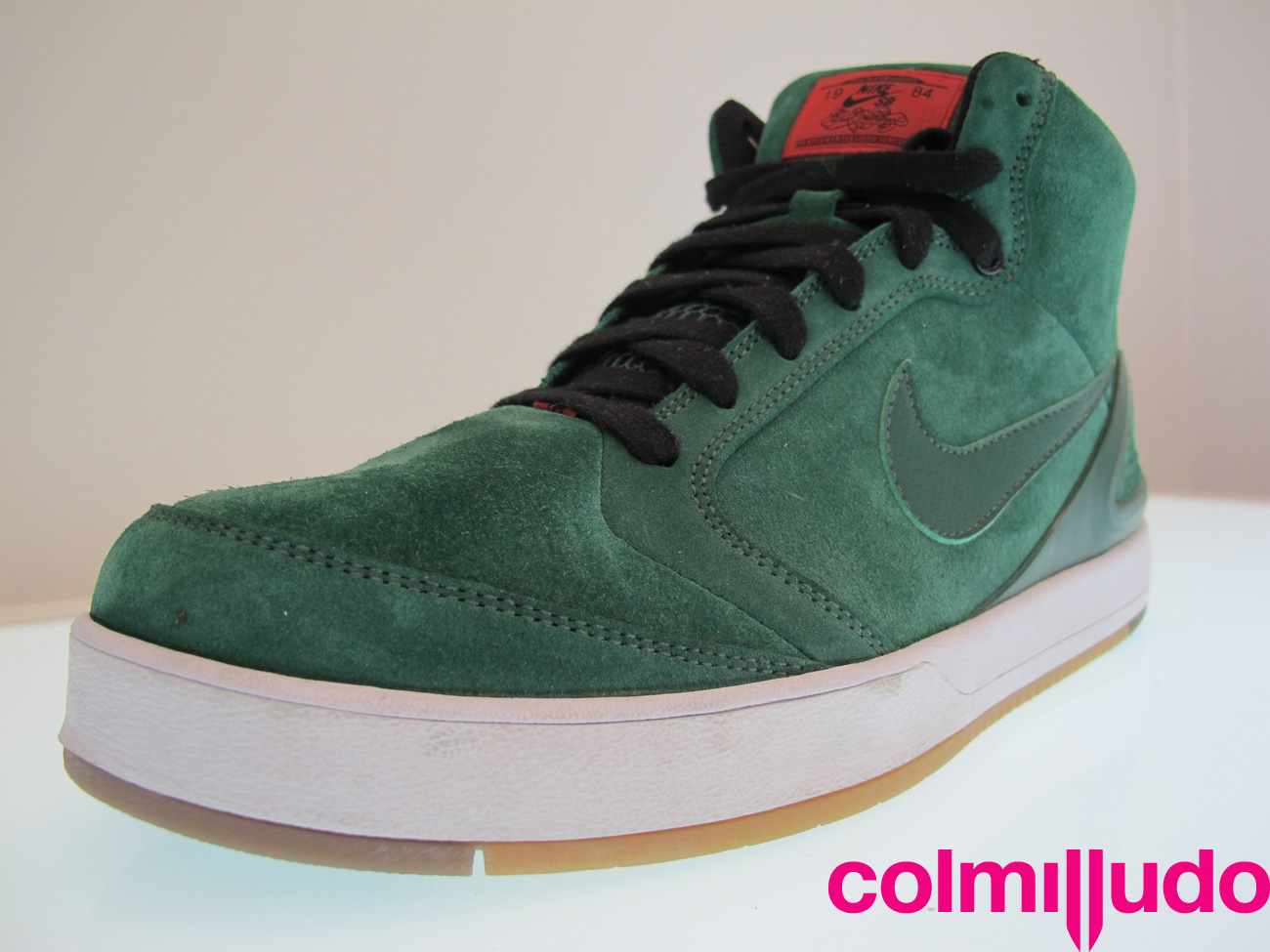 Colmilludo Img 2392