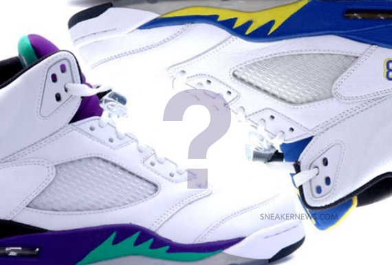 Air Jordan V Retro Grape Laney Pack July 2011