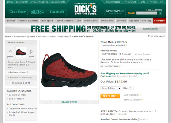 Fake Air Jordan IX's @ Dick's Sporting Goods