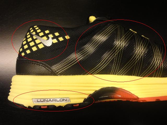 Lunar Spider 1