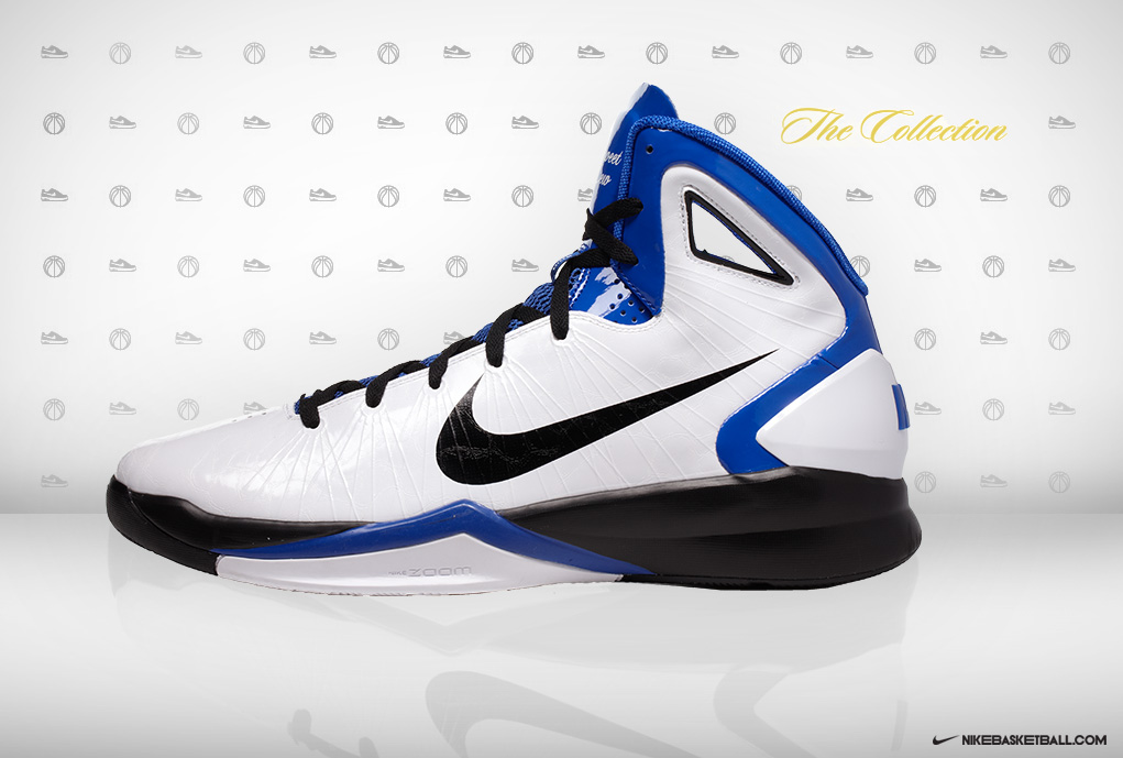 Rashard Lewis Whtblkblu Profile