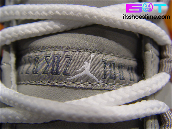 Air Jordan Xi Cool Grey Ist 15