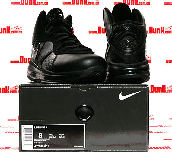 Nike Lebron 8 Blackout Dunk 05