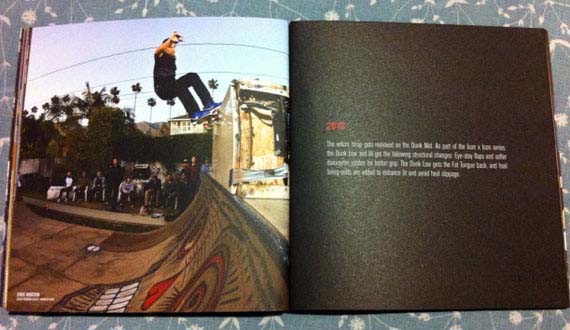 Nike Sb Dunk Book Look 09