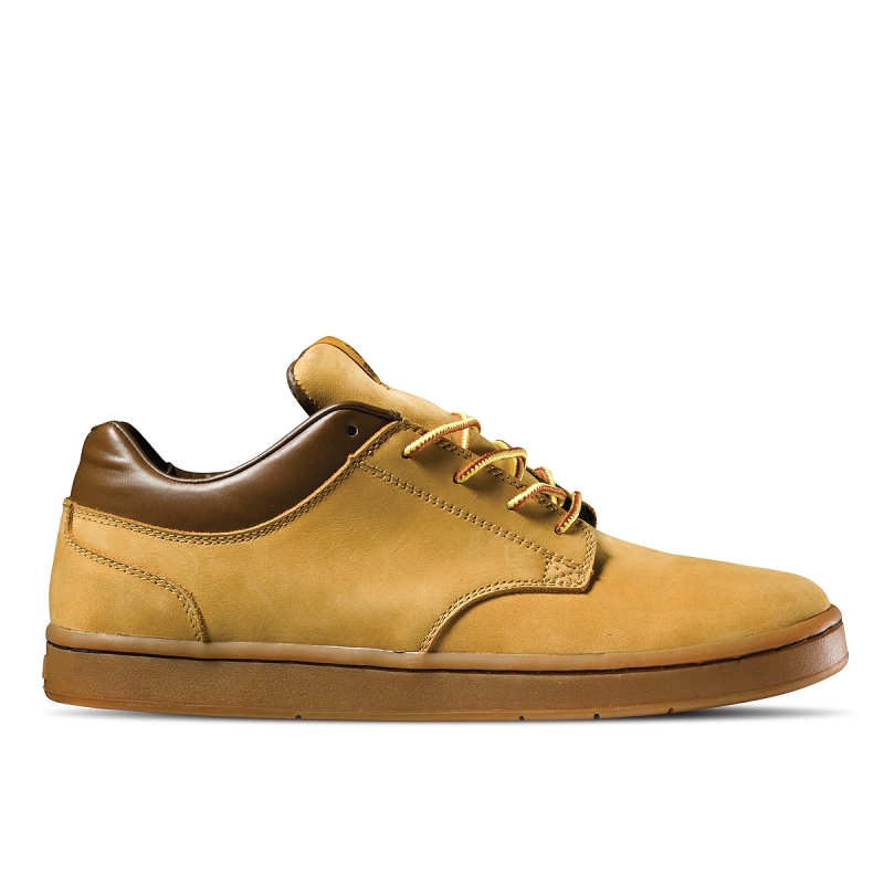 S37025tan P