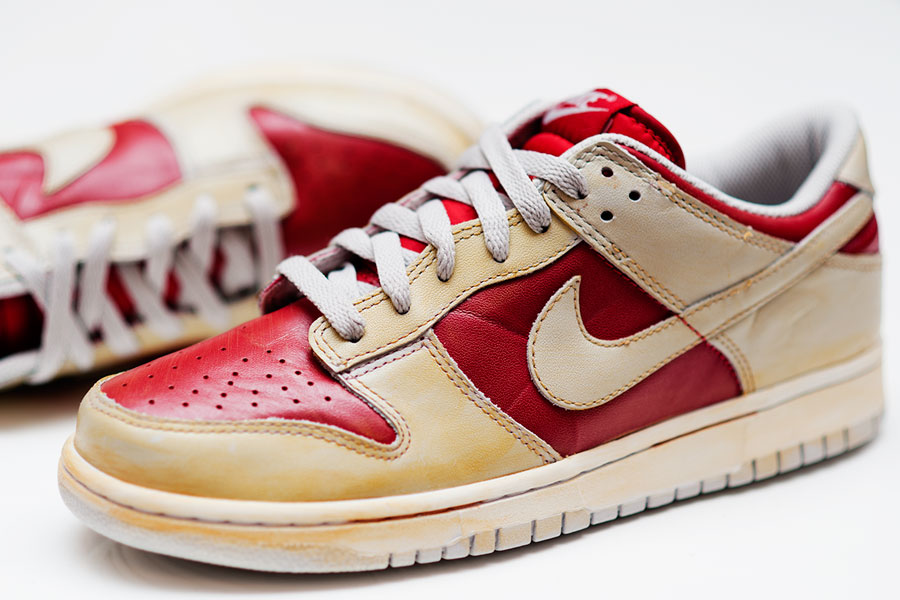 Dunk Low 3