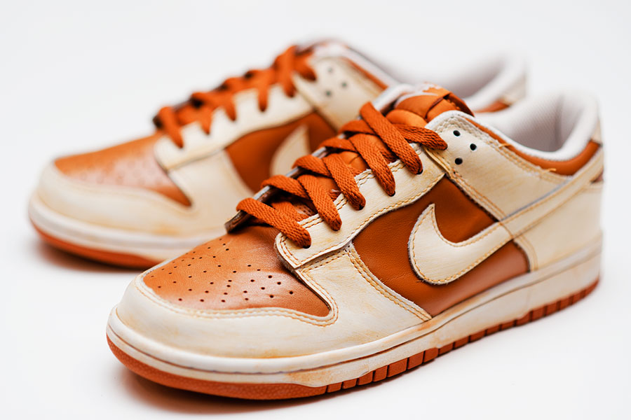 Dunk Low 4