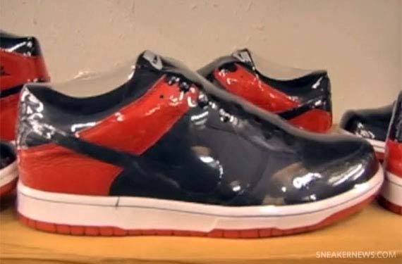 Jordan Dunk Shoezeum 10