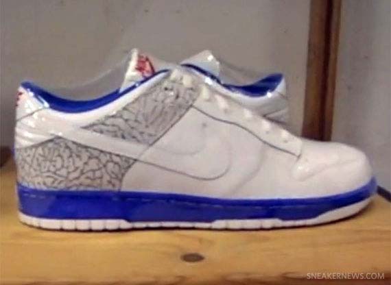 Jordan Dunk Shoezeum 16