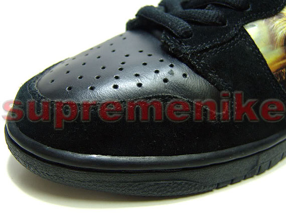 Nike Sb Dunk Maiden Iron 04