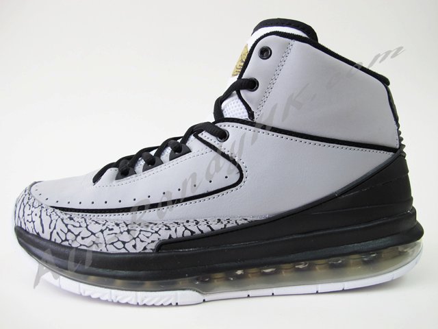 Air Jordan 2.0 Cool Grey Cement 2