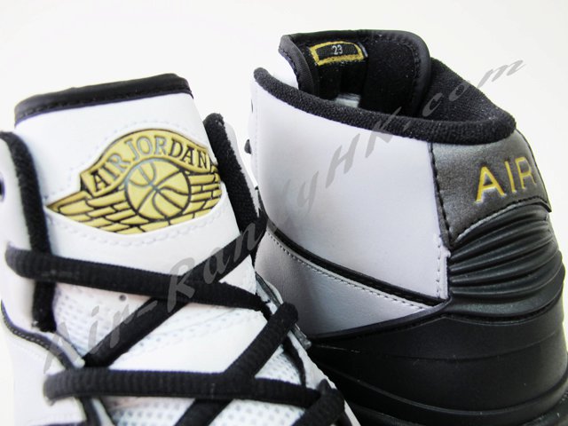 Air Jordan 2.0 Cool Grey Cement 8