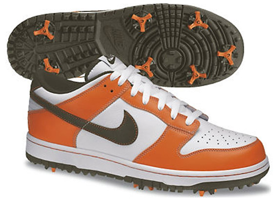 Nike Dunk Ng Spring 2012 2